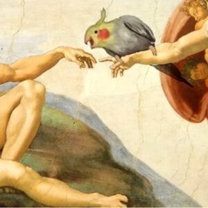 𝗦𝗵𝗼𝗽 𝗮𝗿𝘁